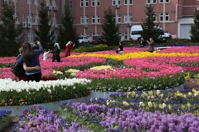 Bahar ayının gelmesi ile birlikte Çorum’un çeşitli parklarında açan çiçekler rengarenk bir görüntü meydana getirdi.